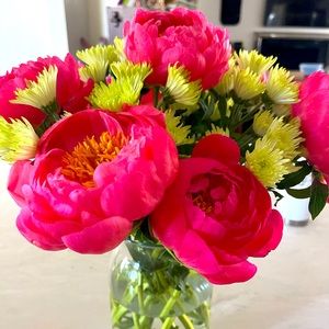 Meet your Posher, Carlyn